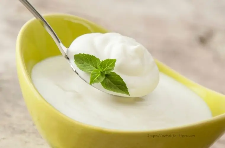 スプーンですくったヨーグルトにミントを添えた写真風邪予防に！発酵食品で免疫力を高める40代の食生活