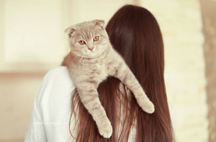 猫を抱っこしている女性の写真｜アロマディフューザーの使い方｜香りを心地よく広げる基本とコツ