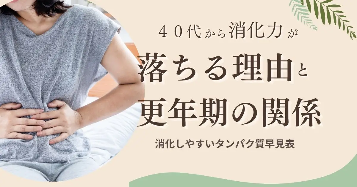 40代から消化力が落ちる理由と更年期の関係｜消化しやすいタンパク質早見表つき