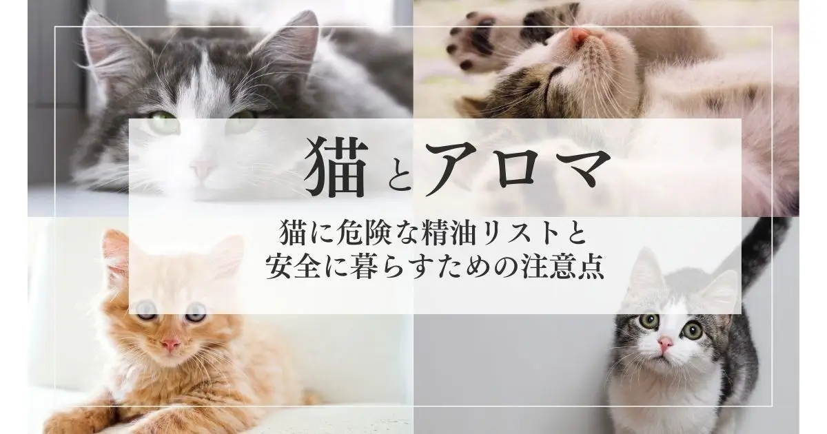アロマと猫｜猫に危険な精油リストと安全に暮らすための注意点