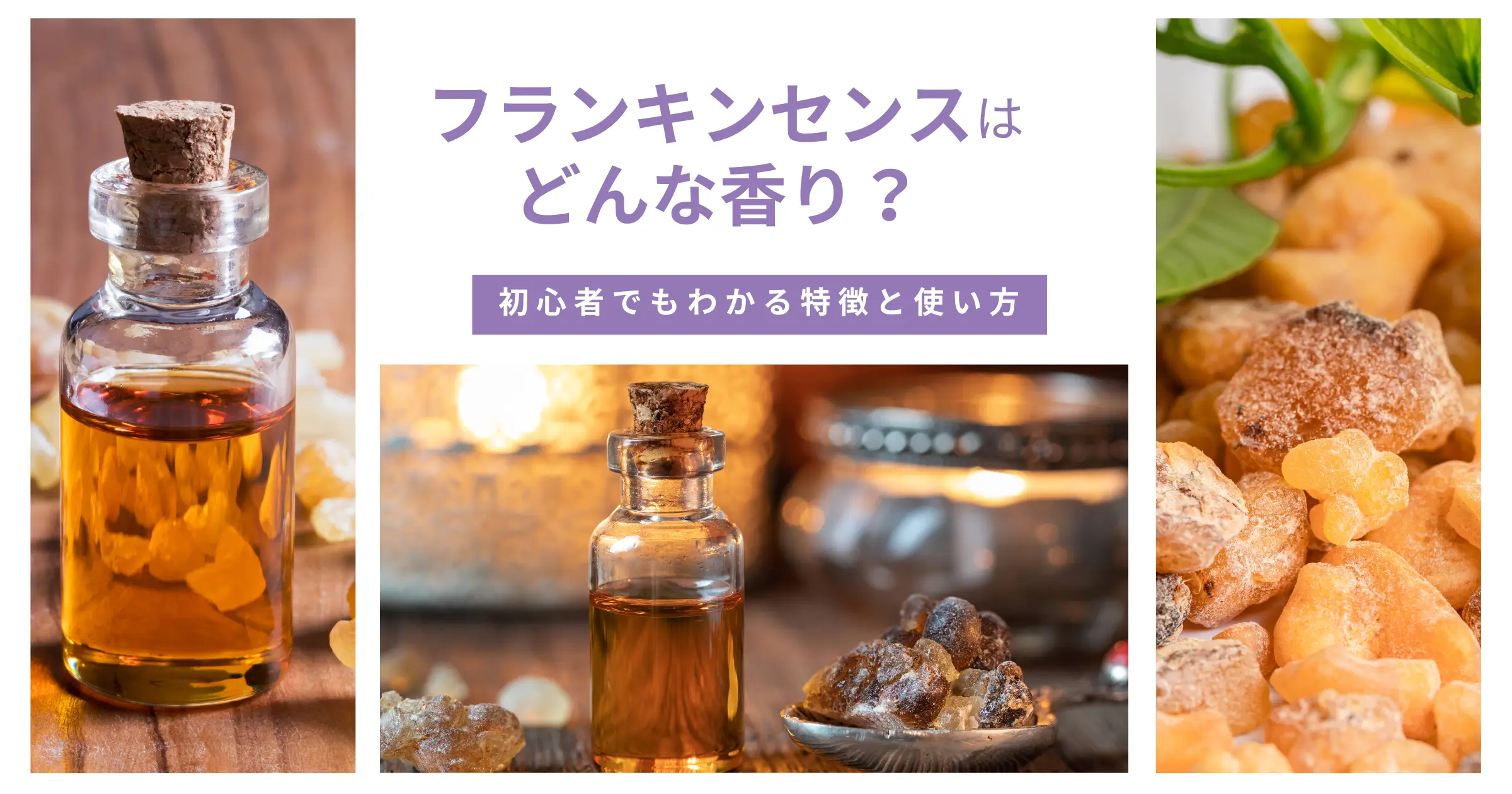 フランキンセンスはどんな香り？初心者でもわかる特徴と使い方