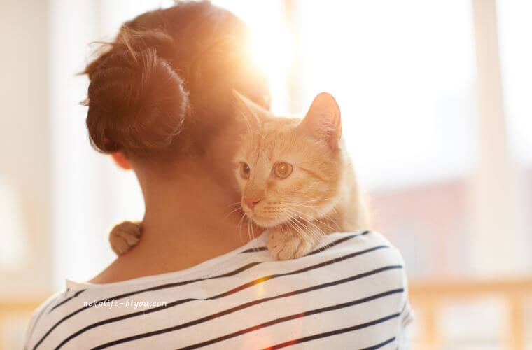 猫を抱っこする女性の写真|アロマと猫|猫に危険な精油リストと安全に暮らすための注意点