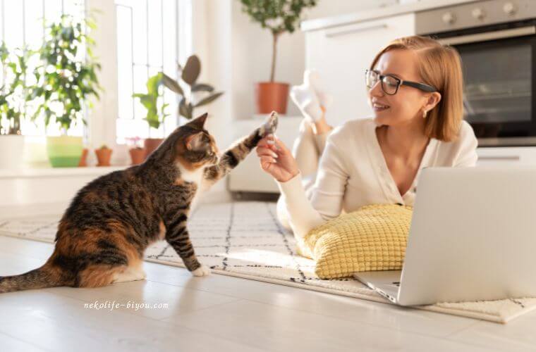 猫とハイタッチする女性の写真|アロマと猫|猫に危険な精油リストと安全に暮らすための注意点
