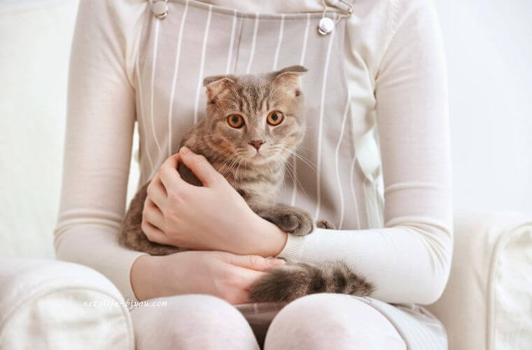 愛猫を抱っこする女性の写真|更年期にアロマが効く理由|香りが自律神経と女性ホルモンに働きかけるメカニズムとおすすめ精油5選