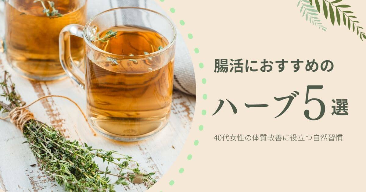 腸活におすすめのハーブ5選｜40代女性の体質改善に役立つ自然習慣