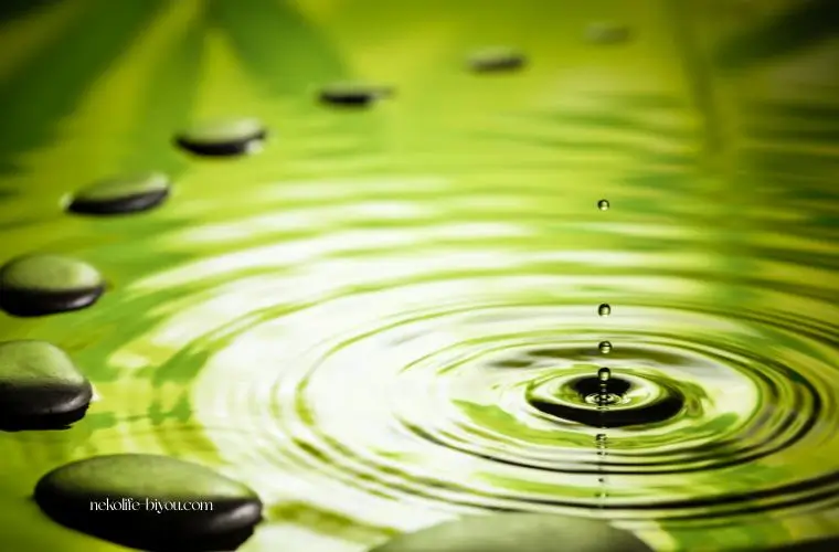 アロマ精油おすすめブランド比較｜生活の木・メドウズ・ハイパープランツ・プラナロム・フロリハナ・フィネッサンス徹底ガイド