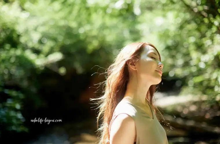 ベルガモット精油の効果と使い方｜思考を軽くする朝の香り