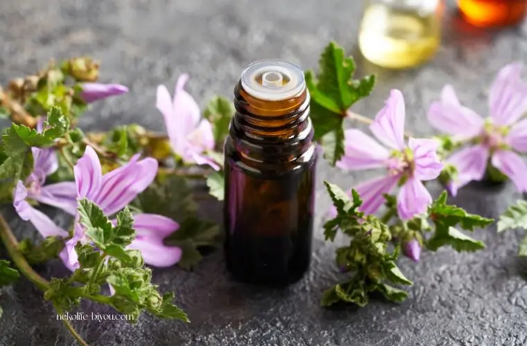 更年期にアロマが効く理由|香りが自律神経と女性ホルモンに働きかけるメカニズムとおすすめ精油5選