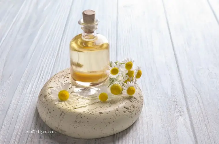 カモミールの精油の写真｜女性のためのアロマ精油成分図鑑｜ホルモンと感情に響く12の香り