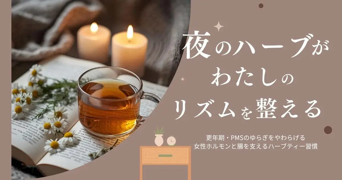 女性ホルモンと腸を整える夜のハーブティー習慣｜更年期・PMSにおすすめのブレンド