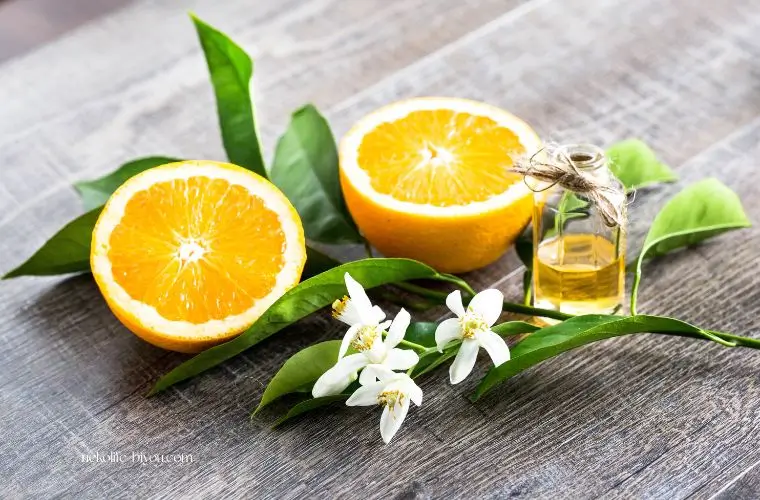 アロマのネロリの精油の写真｜感情が整う香りの心理学｜イライラ・不安・焦りに寄り添うアロマセラピー