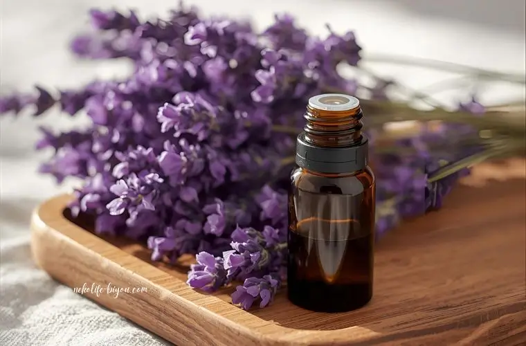 ラベンダーの精油瓶とラベンダーの花の写真｜アロマディフューザーの使い方｜香りを心地よく広げる基本とコツ