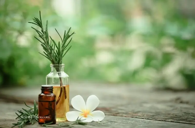 香りで整える朝のマインドセット｜1日の集中力を高めるブレンドと習慣