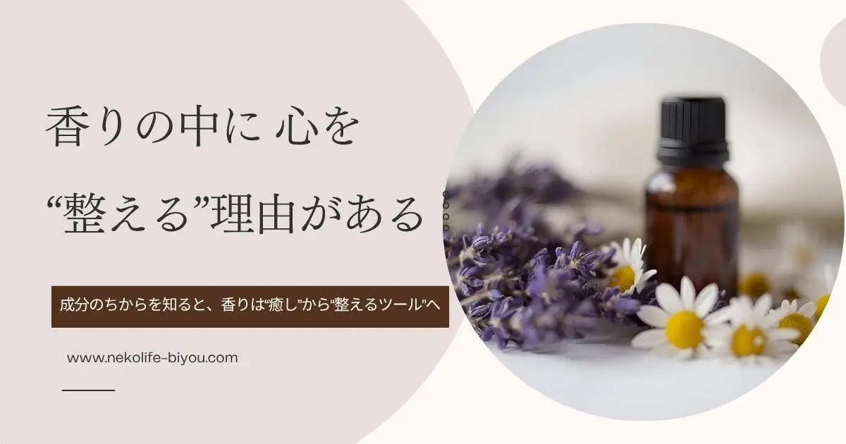 女性のためのアロマ精油成分図鑑｜ホルモンと感情に響く12の香り