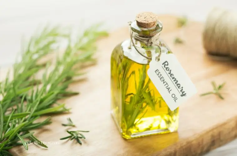 ローズマリーの精油の写真｜自律神経を整える朝のアロマルーティン｜呼吸・光・香りの整え方