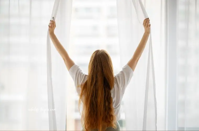 レモン精油の効果と使い方｜前向きな思考を取り戻す朝の香り