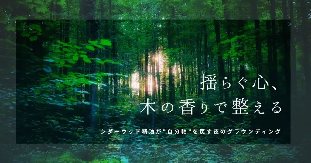 シダーウッド精油の効果と使い方｜揺らぐ心を落ち着かせるグラウンディングの香り