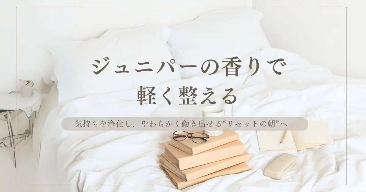 ジュニパー精油の効果と使い方｜心を浄化し、軽やかに整える朝の香り