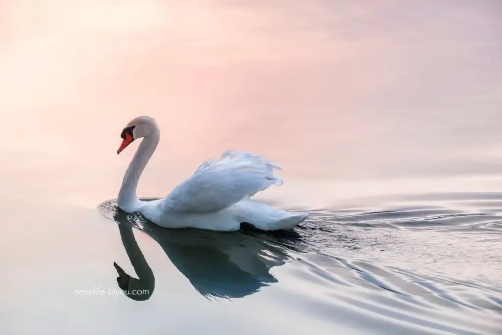 「自分を愛する」ができない本当の理由｜セルフイメージの歪みを香りで整える