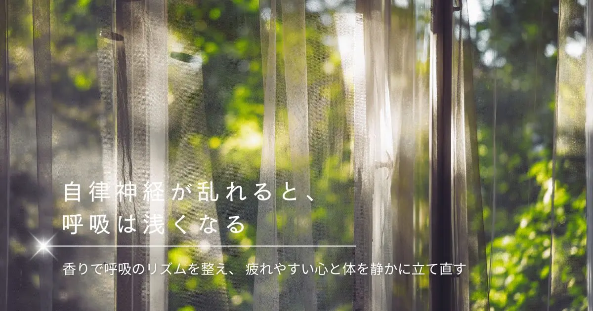 自律神経を整えるアロマ入門｜疲れやすい日に戻したい呼吸のリズム