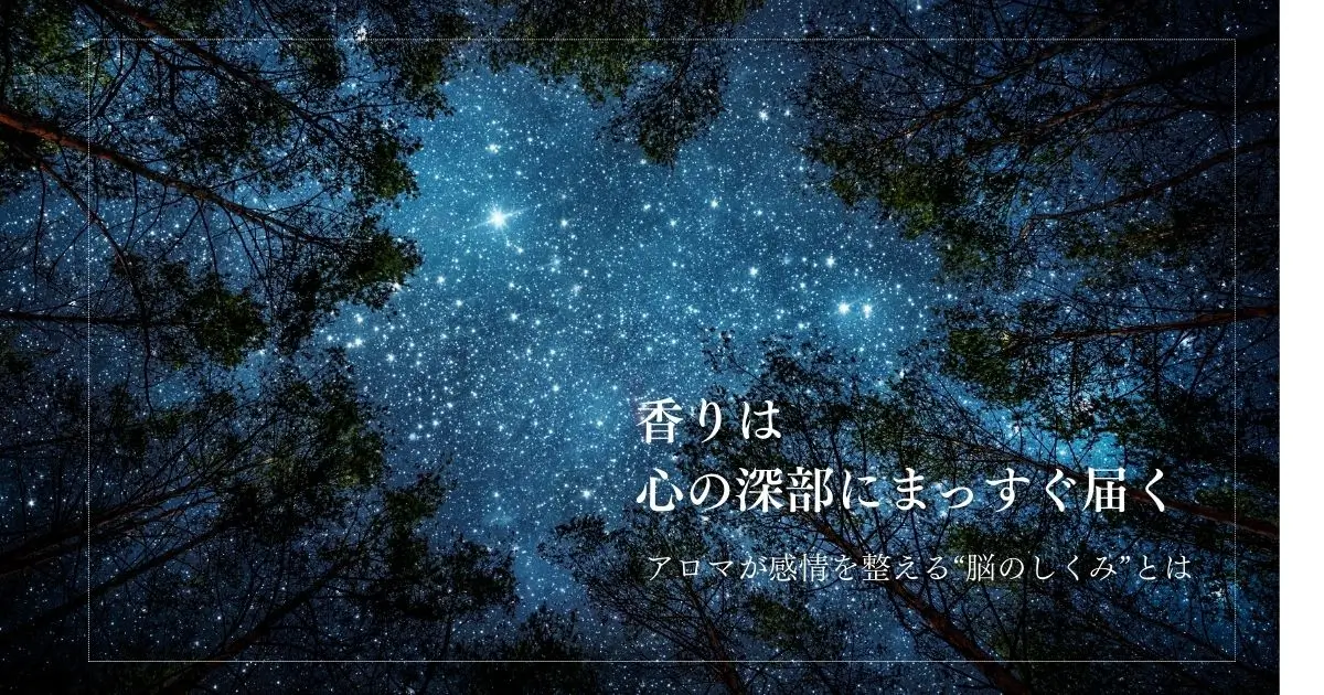 アロマはなぜ感情を整えるのか｜脳の仕組みと心が静まる理由
