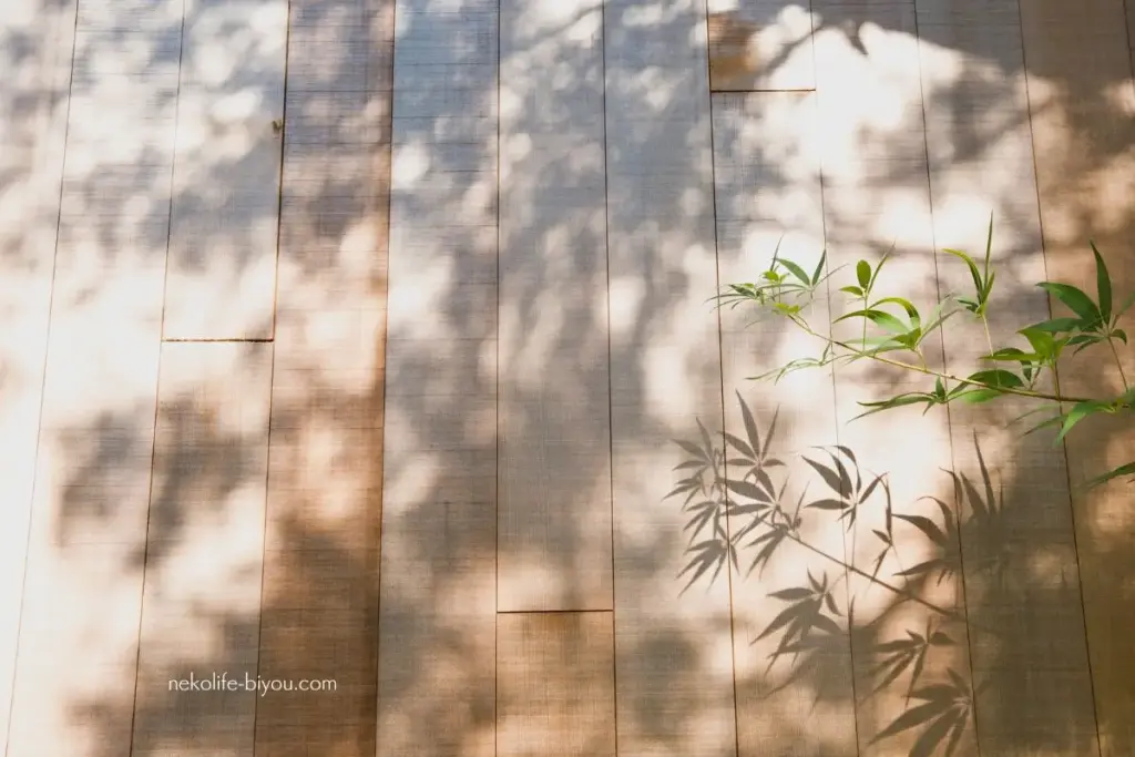 HSP気質の人におすすめ｜心の境界線を守るアロマブレンド5選