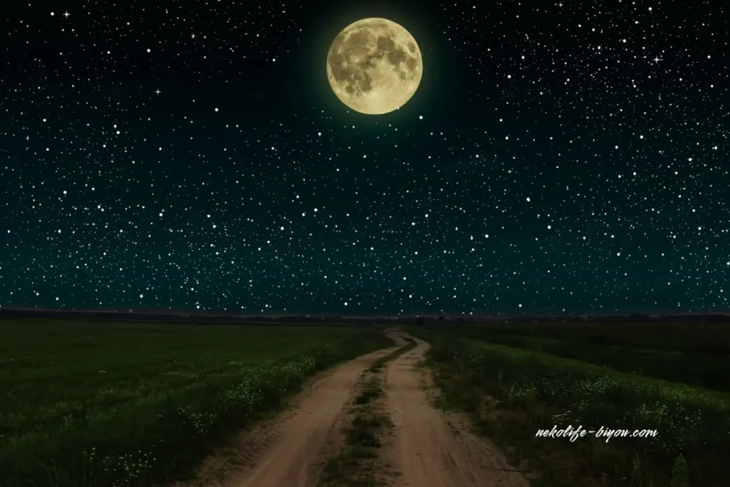 あなたの才能と宿命を読み解く｜星読みの基本で知る「本来の自分」と人生の設計図